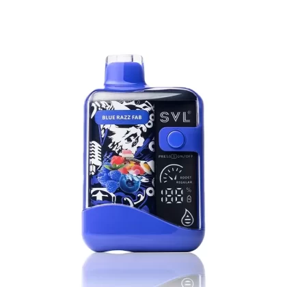 SVL BX12000 12K Puffs Disposable - 18mL - Mix Berry