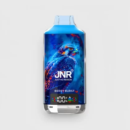 JNR Falcon X 18000 Puffs Dual Mesh Rechargeable Vape