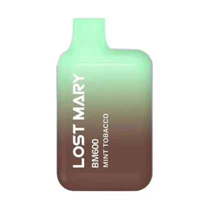 Lost Mary BM600 Prefilled Pod Kit Mint Tobacco - Vape Store