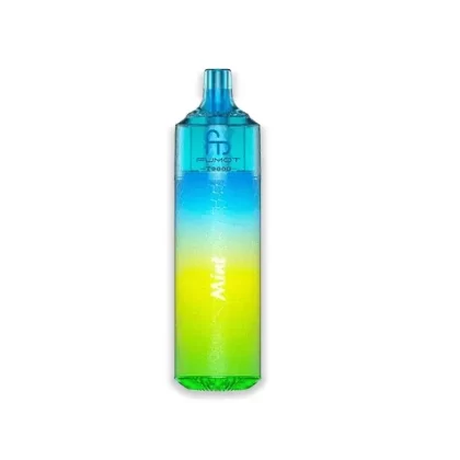 Fumot RandM Tornado T9000 Puffs Mint