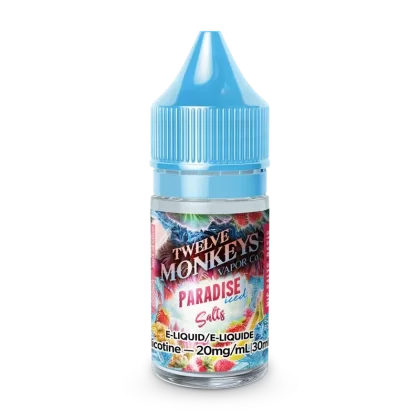 TWELVE MONKEYS ICE AGE SALTS – PARADISE ICED (30mL)