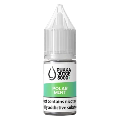 Pukka Juice 5000+ Polar Mint Nic Salt Vape Juice