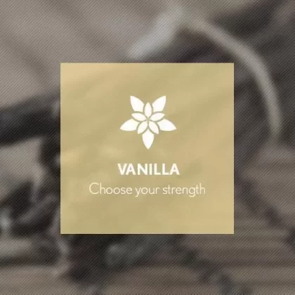 Vanilla By Blast E-Liquid 10ml