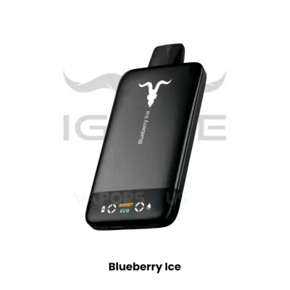IGNITE – V155 Rechargeable Disposable Vape 15,500 Puffs Dubai Vape Price - Vapesmokezone
