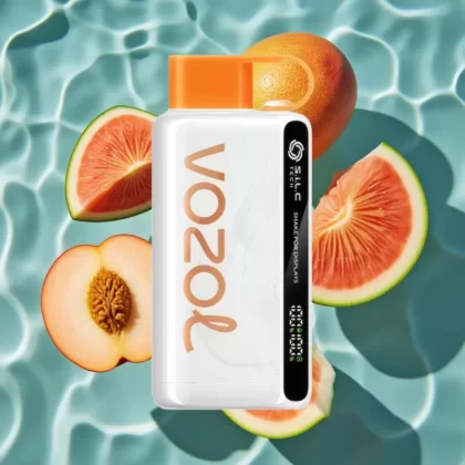 VOZOL STAR 9000/12000 Disposable Vape – Peach Mango Watermelon, 650mAh Battery, 30% Faster Charge, Recycled Plastic, Up to 12000 Puffs - Bangvapeaustralia