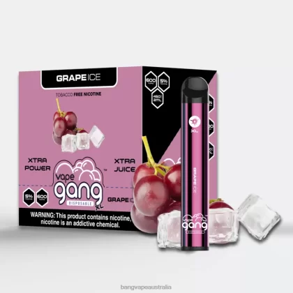 Vape Gang XL Disposable Vapes 600 puffs (Box of 10) 6006N62 Grape Ice – Gang Vape Price - Bangvapeaustralia