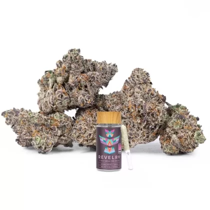 Revelry Devil’s Gelato THCA Pre Rolls 7 Pack