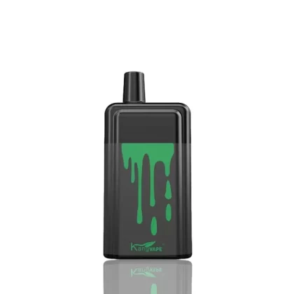 Kangvape Onee Stick 5200 Puffs Disposable 10-Pack - Vapejuice