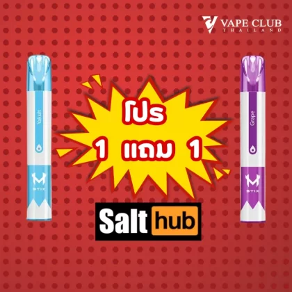 Salthub M Stix Disposable Pod 600 puff