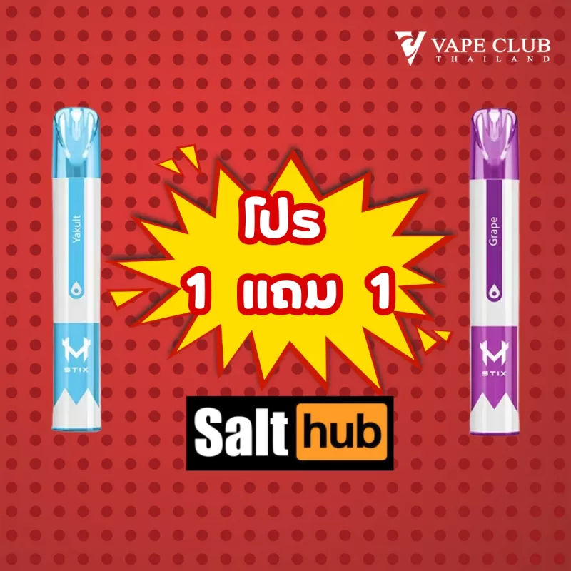 Salthub M Stix Disposable Pod 600 puff