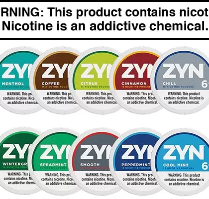 ZYN NICOTINE POUCHES 5-PACK - 3MG / 6MG / Cool Mint / Spear Mint / Winter Green