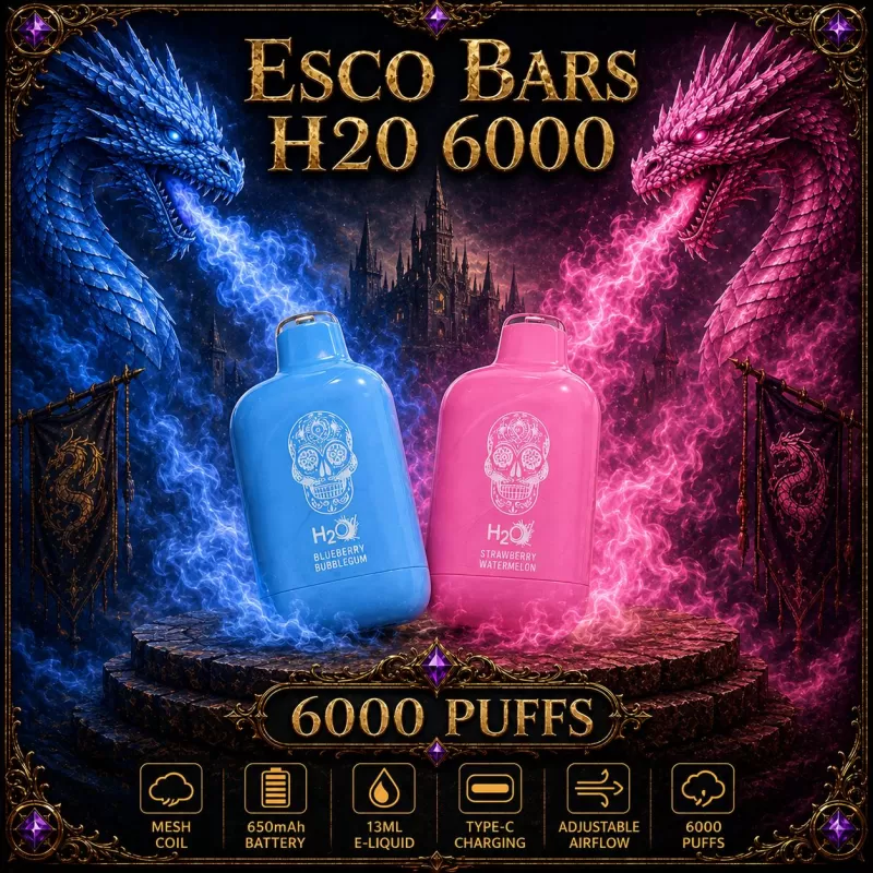 Esco Bars H20 6000 - Vapeciga