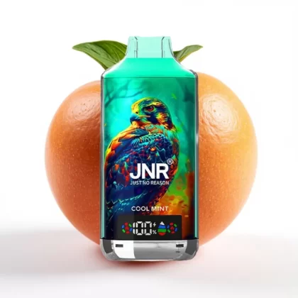 JNR Falcon X 18000 Puffs 24ml 750mAh Menta Refrescante Mexico vape - Fumotvapemexico