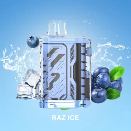 Elm Bar Turbo Hit Raz Ice 10000 Puffs