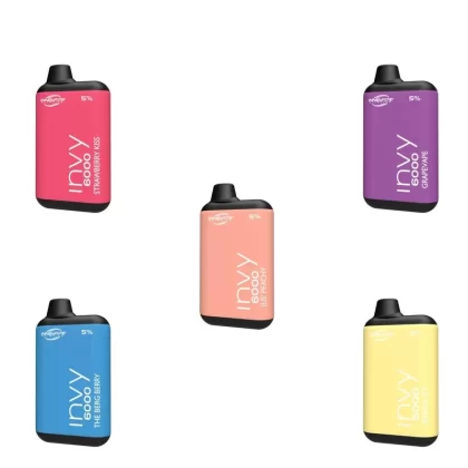 Innevape Invy Rechargeable Disposable Vape (6000 Puffs) – BOGO - Ejuicewarehouse