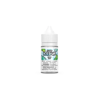 MINT ICE BY ICED UP SALT