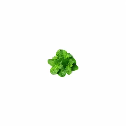 TFA Natural Spearmint – Unsweetened - Bangvapeaustralia