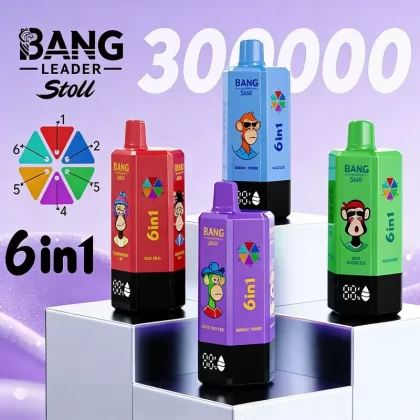 Bang Leader 300K 300000 Puffs 6 in 1 Flavors & 6 oil tanks Rechargeable LCD Display Disposable Vape EU Warehouse - Vapeq10