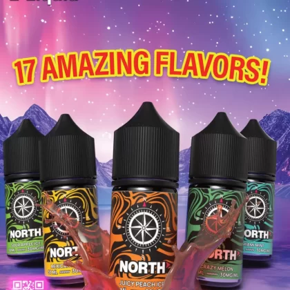 North SALT E-Liquid 30ml - Miami Mint / 30mg