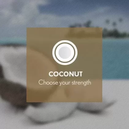 Coconut By Blast E-Liquid 10ml - 6mg
