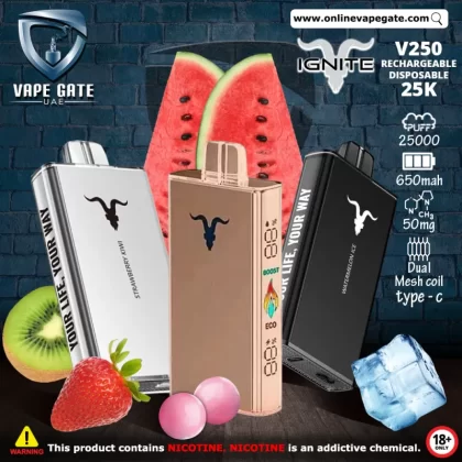 IGNITE - V250 Rechargeable Disposable Vape (25,000 Puffs) - Blueberry Ice / 50 mg