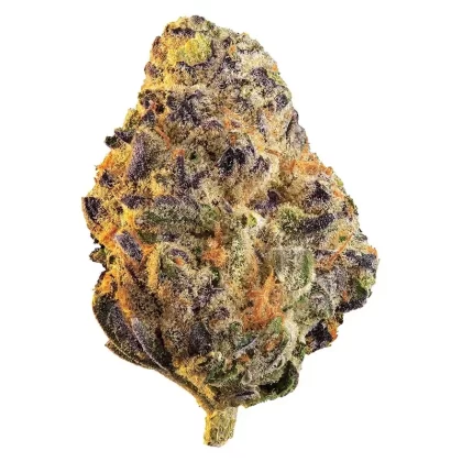 TSK Edison Black Cherry Punch