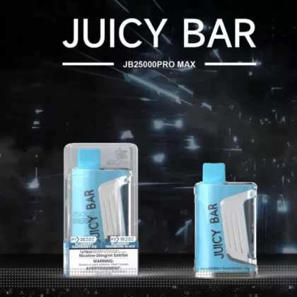 Juicy Bar JB25000 Pro Max Disposable Vape – Blueberry Raspberry Ice- 25K Puffs