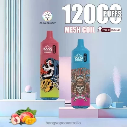 Bang Vape Tornado 12000 puffs with LED & Mesh Coil 6006N4 Disposable – Vape Gang Sydney - Bangvapeaustralia