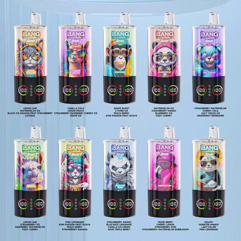 Bang Leader Stoll 100K 4-in-1 Disposable Vape - Vapeq10 - Image 2