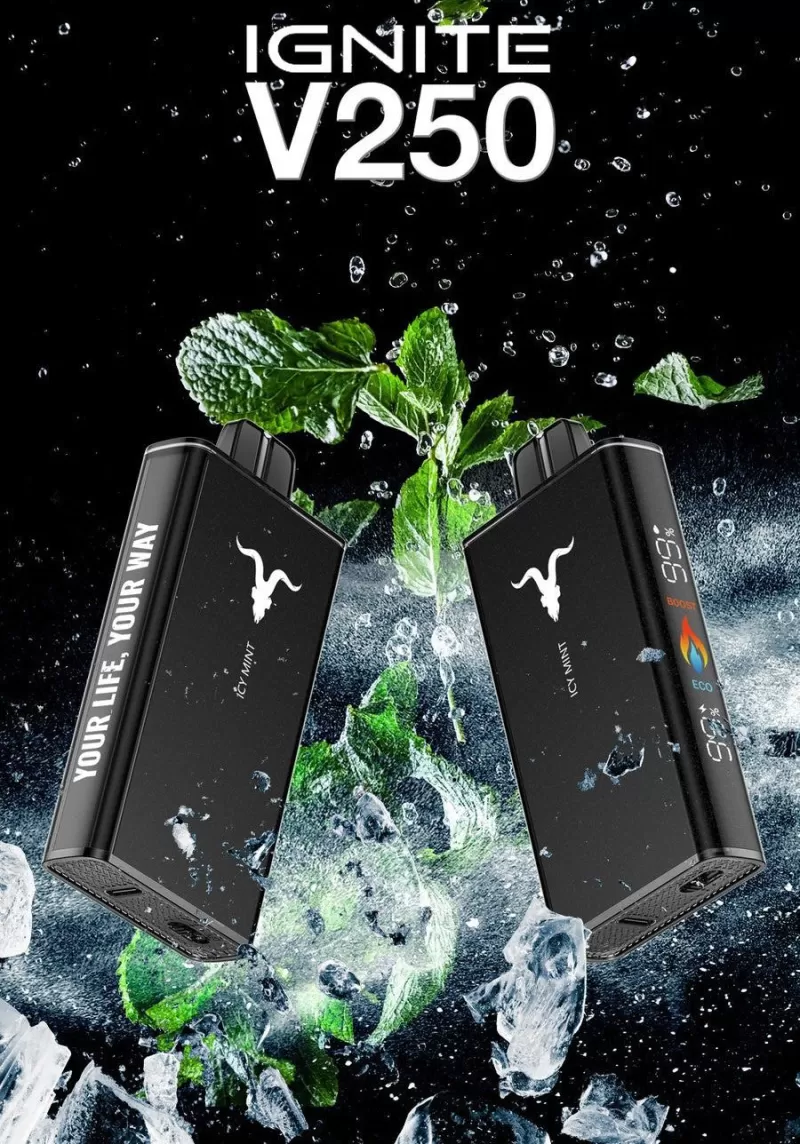 IGNITE - V250 Rechargeable Disposable Vape (25,000 Puffs) - Watermelon Dragonfruit / 50 mg - Image 2